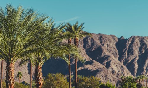 California Coachella Valley Landscape with Palms and Mountains.